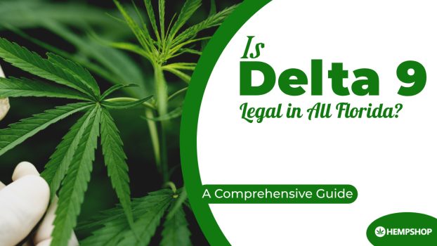 Is Delta 9 Legal in Florida? A Comprehensive Guide