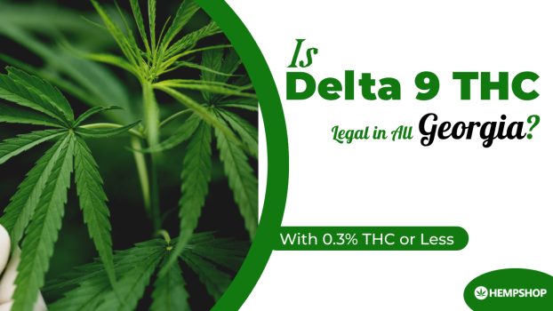 is delta-9 THc legal in Georgia