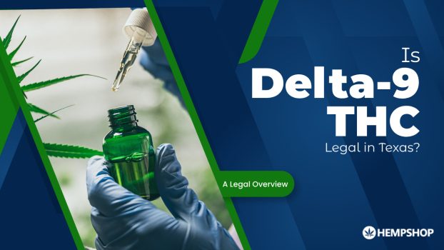 Is Delta-9 THC legal in Texas? A Legal Overview