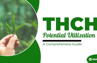 THCH Potential Utilization: A Comprehensive Guide