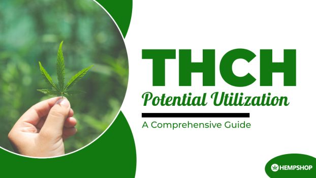 THCH Potential Utilization: A Comprehensive Guide