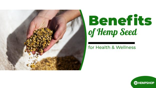 The Benefits of Hemp Seed for Health and Wellness