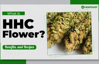 What is HHC Flower? Benefits, and Recipes