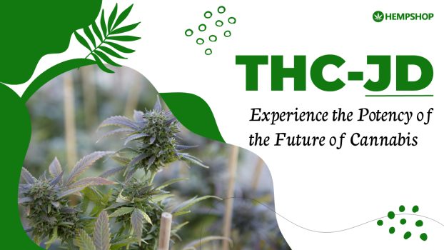 THC-JD: Experience the Potency of the Future of Cannabis