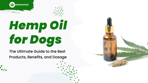 Hemp Oil for Dogs the Ultimate Guide to the Best Products Benefits and Dosage