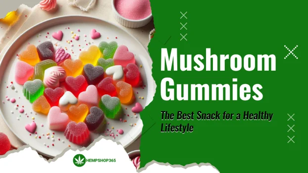 Mushroom Gummies: The Best Snack for a Healthy Lifestyle