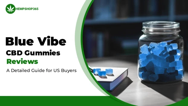 Blue Vibe CBD Gummies Reviews: A Detailed Guide for US Buyers