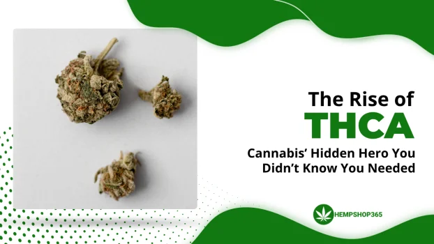 The Rise of THCA: Cannabis’ Hidden Hero You Didn’t Know You Needed