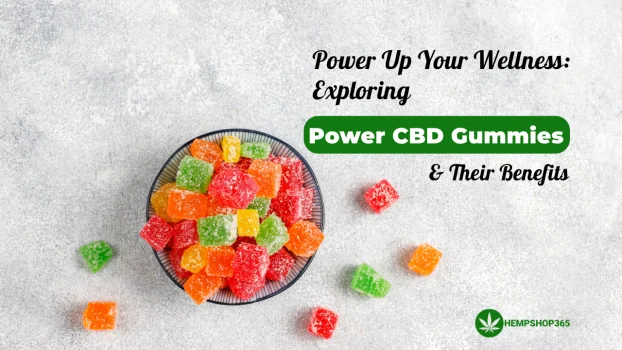 Power up Your Wellness Exploring Power CBD Gummies & their Benefits