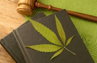 Cannabis leaf resting on law books beside a wooden gavel
