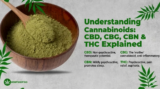 Understanding Cannabinoids: CBD, CBG, CBN & THC Explained