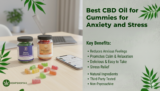 Best CBD Gummies for Anxiety and Stress: A Complete Buyer’s Guide