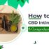 Delta 8 Edibles: The Perfect Way to Relax and Ease Pain