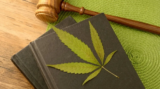 What Psychedelics Are Legal in Canada?