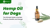 Hemp Oil for Dogs: The Ultimate Guide to the Best Products, Benefits, and Dosage