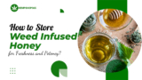 How to Store Weed Infused Honey for Maximum Freshness and Potency