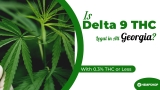 Is Delta 9 Legal in Georgia With 0.3% THC or Less?