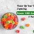 What is THC-P? Exploring the Potential Benefits and Risks