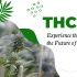 Delta 8 Edibles: The Perfect Way to Relax and Ease Pain