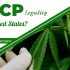What is THC-P? Exploring the Potential Benefits and Risks