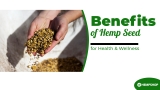 The Benefits of Hemp Seeds for Health and Wellness