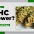 The Best Hemp Wraps on the Market